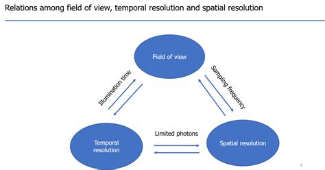 Single Particle Tracking 的图像结果