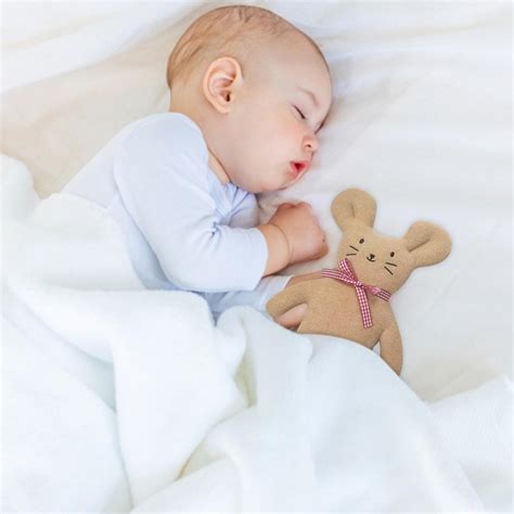Buy Younar Baby Snuggle Toy Cuddly Stuffed Animal Mouse Toy for Home ...