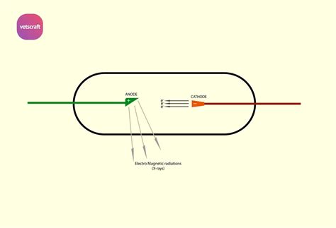 Production of x-rays - Sequence of Events and Emission