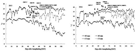 Responses of Fourteen Vietnamese Rice (Oryza sativa L.) Cultivars to ...