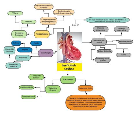 Mapa Mental Insuficiência Cardíaca Congestiva - NAZAEDU