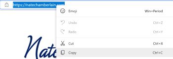 Image result for Copy and Paste URL Address
