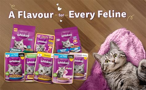 Whiskas Adult (1+ Years) Wet Cat Food, Salmon in Gravy, 80 g (Pack of ...
