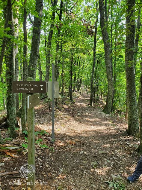 Hiking Read Mountain Preserve in Southwestern Virginia - 4.6 Mile Loop ...