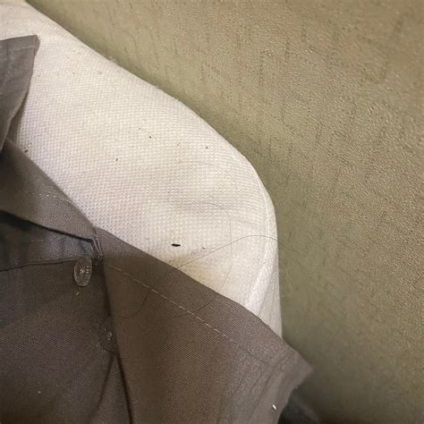 AMERICAN INN OF BETHESDA - Prices & Hotel Reviews (MD)