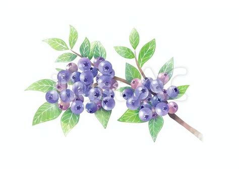 Image result for Extra Code Embedded in the File