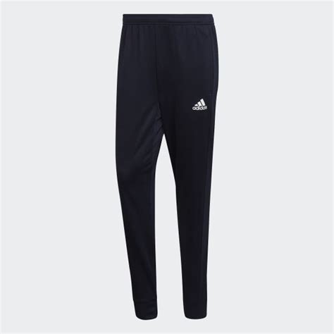 adidas AEROREADY Designed 2 Move Sport Pants - Blue | adidas India