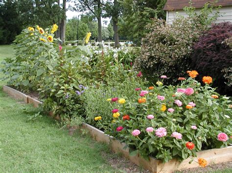 Flower Cutting Garden Raised Bed at Thomas Campion blog
