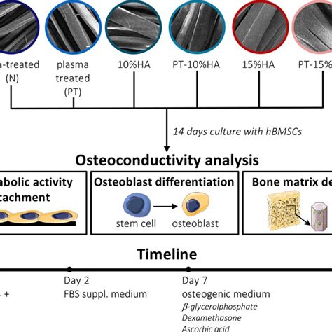 Image result for BioAid Graph