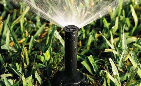 Image result for Sprinkler Accelerator
