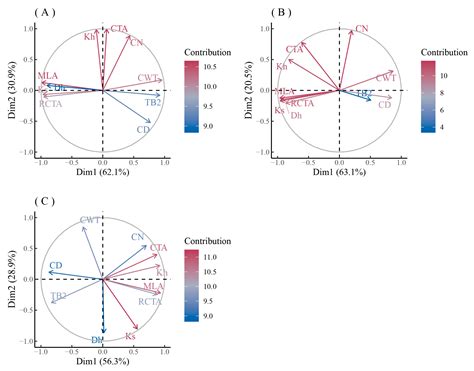 The Impact of Urbanization on Tree Growth and Xylem Anatomical Characteristics