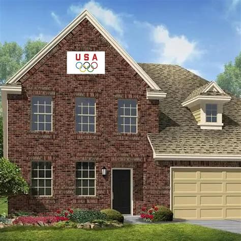 QUENLOOP USA Olympic Rings Flags 3x5 Ft Outdoor India | Ubuy