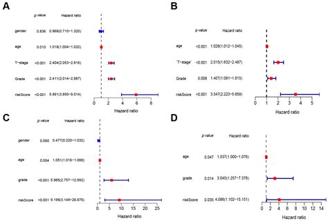 Lactylation Modification as a Promoter of Bladder Cancer: Insights from ...