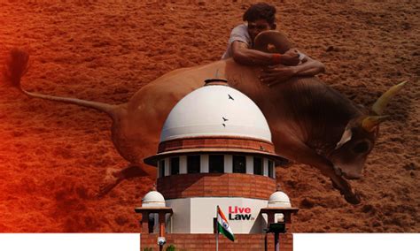 Read all Latest Updates on and about The Animal Welfare Board of India ...