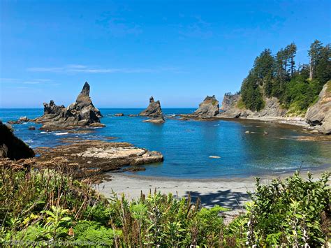 Shi Shi Beach Olympic Peninsula