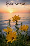 Image result for Good Morning Spring Scenic Pics