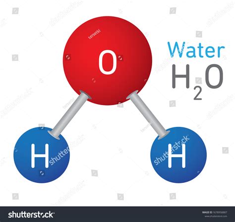 Water Molecule Model