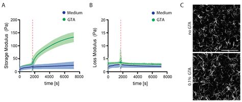 Matrix Stiffness Affects Spheroid Invasion, Collagen Remodeling, and ...