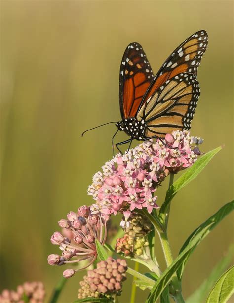 Oakes Quarry Park - Beaver Creek Wetlands Association