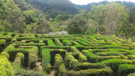 HOTEL FLOR DE LIZ (Junqueiropolis) - Lodging Reviews & Photos - Tripadvisor