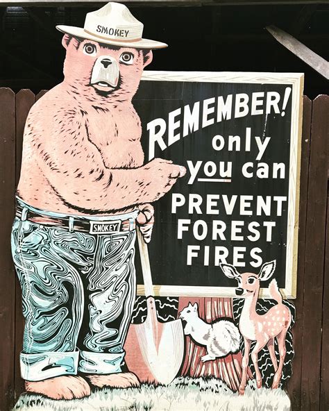 Vintage Smokey the Bear sign. 🔥🐻 | Smokey the bears, Bear signs, Happy ...