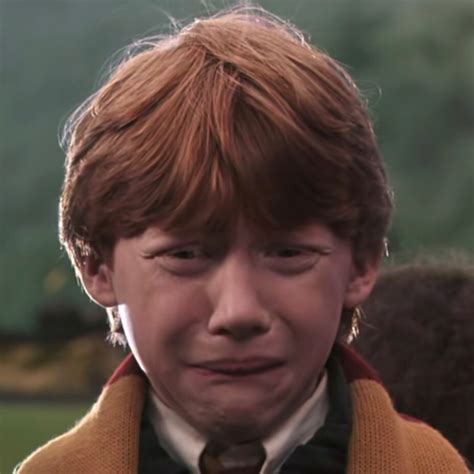 Portrait of Ron Weasley — Harry Potter Fan Zone