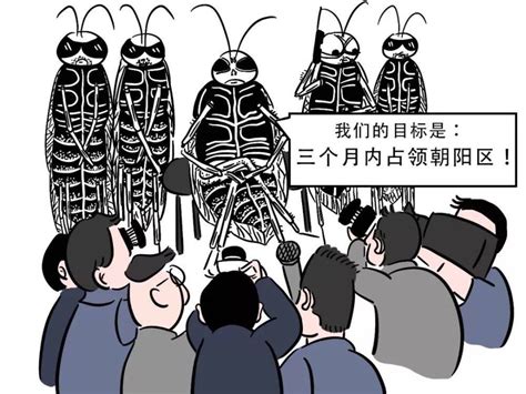 北漂灭蟑师十年灭两千万只蟑螂：北京的蟑螂一辈子都灭不完