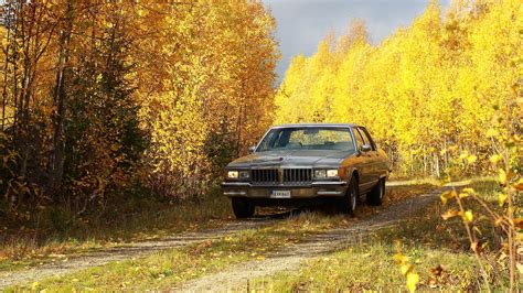 Download wallpaper 2048x1152 car, gray, trees, autumn, yellow ultrawide ...