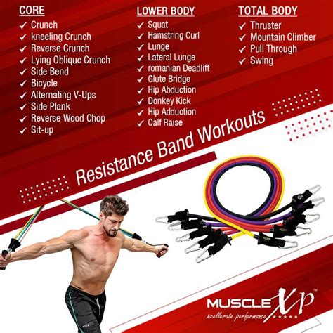 Buy MuscleXP Drfitness+ 11 In 1 Set - Resistance Band Complete Set ...