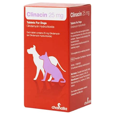 What Does Clindamycin Treat For Dogs