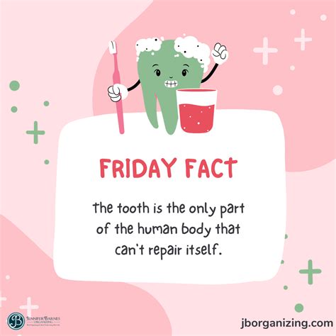 Friday Fact | Fun fact friday, Friday facts, Dental fun facts