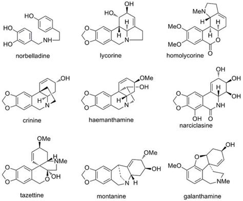 Cholinesterase Inhibition Activity, Alkaloid Profiling and Molecular ...