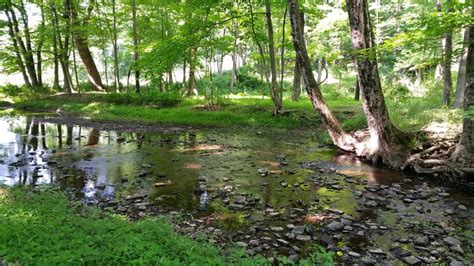 Trail Maps & Information | Township of Franklin, NJ