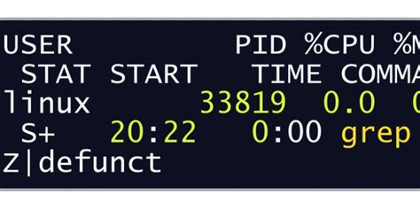Zombie Process 的图像结果
