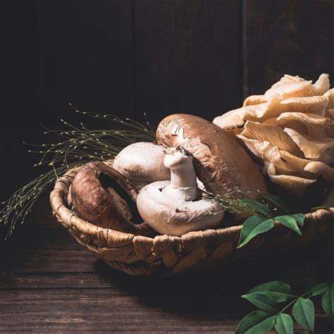 What Are Portobello Mushrooms?