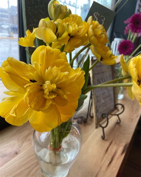 Owensboro Florist - Meadow House Flowers & Gifts (@meadowhouseflowers ...