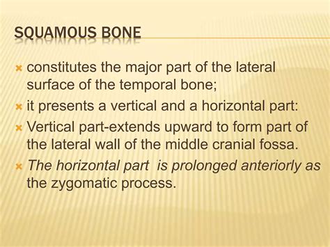 Image result for Temporal Bone Mastoid Process