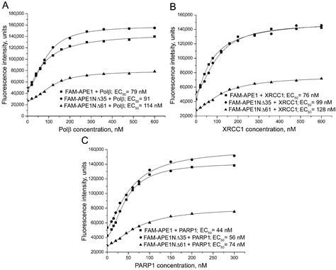 Functional Role of N-Terminal Extension of Human AP Endonuclease 1 In ...