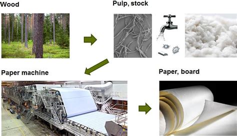 Tree to Paper Process 的图像结果