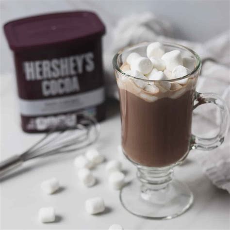 Hershey's Cocoa Powder Hot Chocolate Recipe No Milk at Lillian Behrens blog