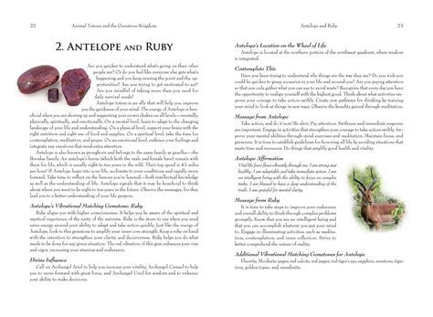 Animal Totems and the Gemstone Kingdom | Book by Margaret Ann Lembo ...