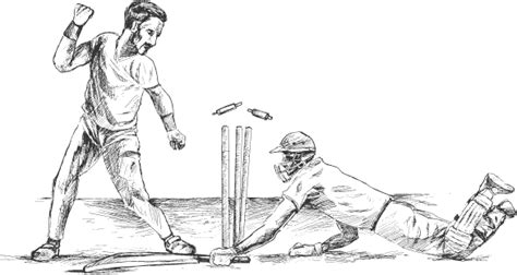 Home [amlcricketschool.in]