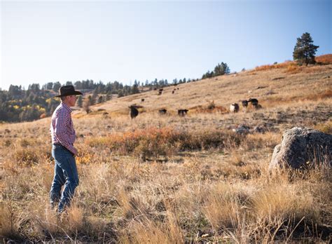 Image result for ranching