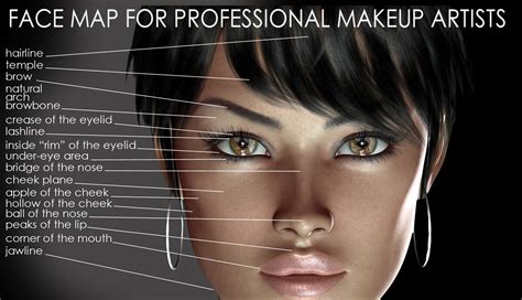 Image result for Contour Face Map