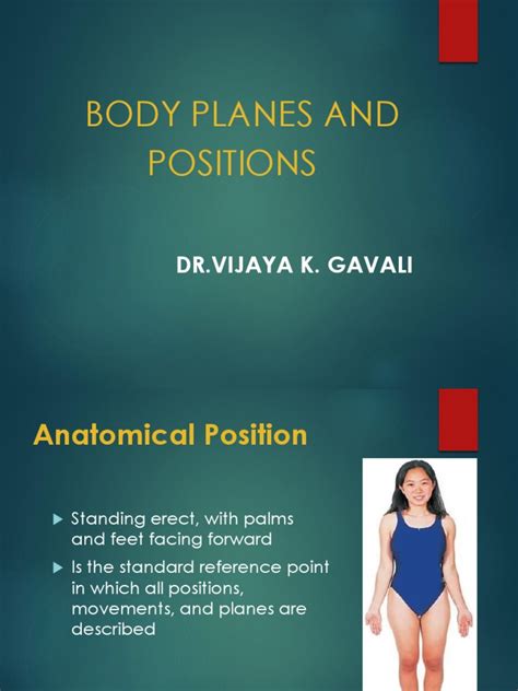 Image result for Anatomical Position Explained