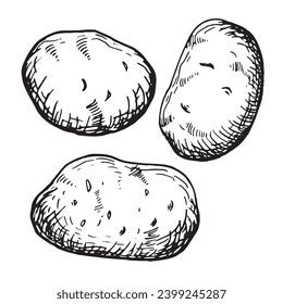 Image result for Potato Man Project Python Coding