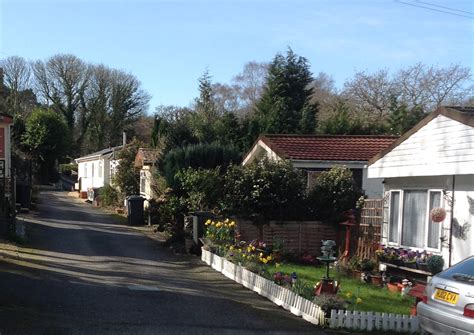 Town Script Pastebin 的图像结果