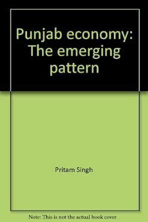 Punjab economy: The emerging pattern : Amazon.in: Books