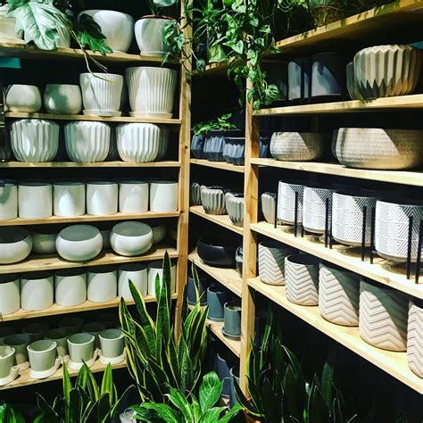 Pots – PLANT & POT STUDIO