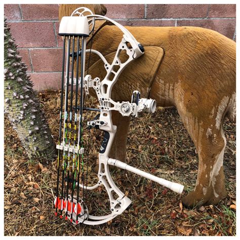 Image result for Custom Compound Bow